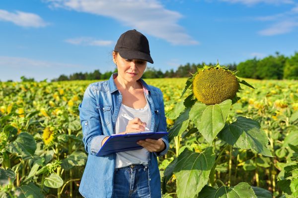 El despido por anunciar la boda es nulo.